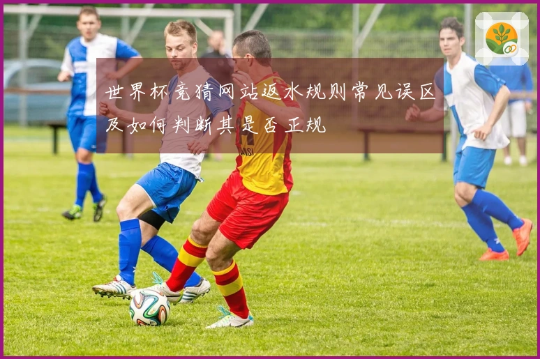 世界杯竞猜网站返水规则常见误区及如何判断其是否正规