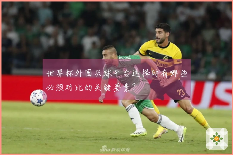 世界杯外围买球平台选择时有哪些必须对比的关键要素？