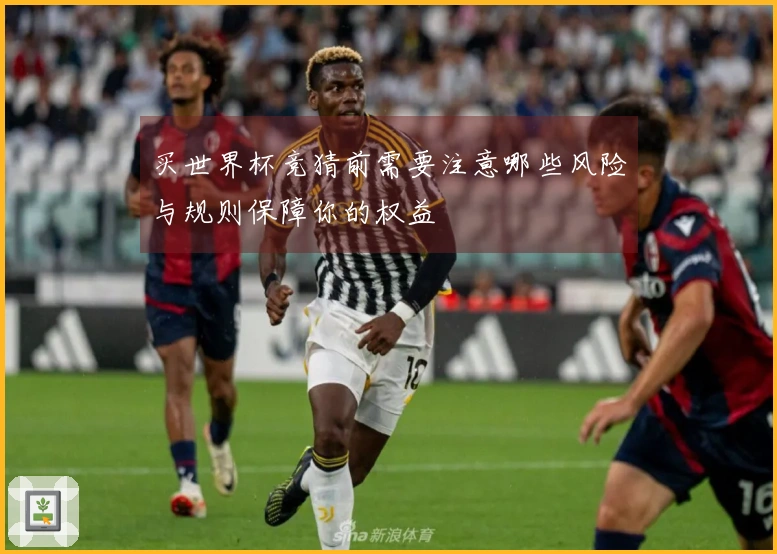 买世界杯竞猜前需要注意哪些风险与规则保障你的权益