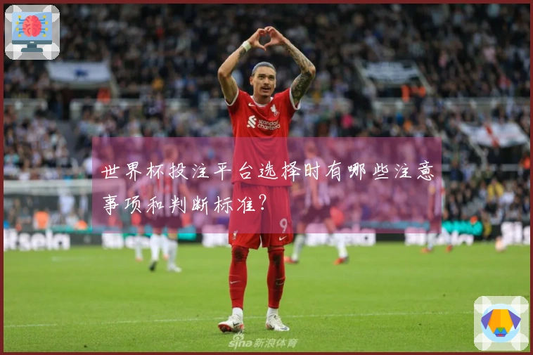 世界杯投注平台选择时有哪些注意事项和判断标准？