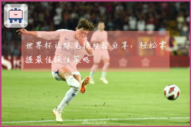 世界杯让球竞猜经验分享，轻松掌握最佳投注策略