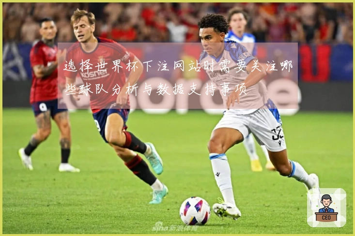 选择世界杯下注网站时需要关注哪些球队分析与数据支持事项