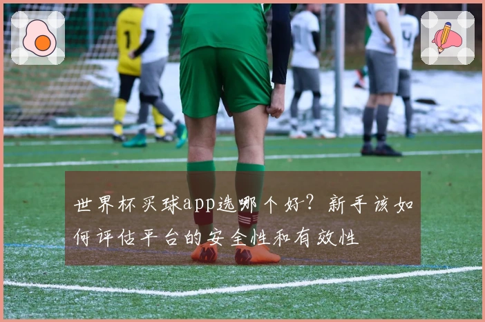 世界杯买球app选哪个好?新手该如何评估平台的安全性和有效性