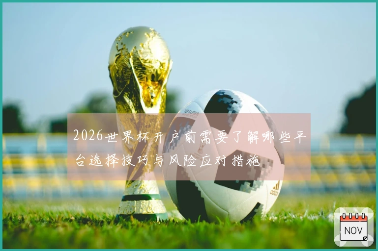 2026世界杯开户前需要了解哪些平台选择技巧与风险应对措施