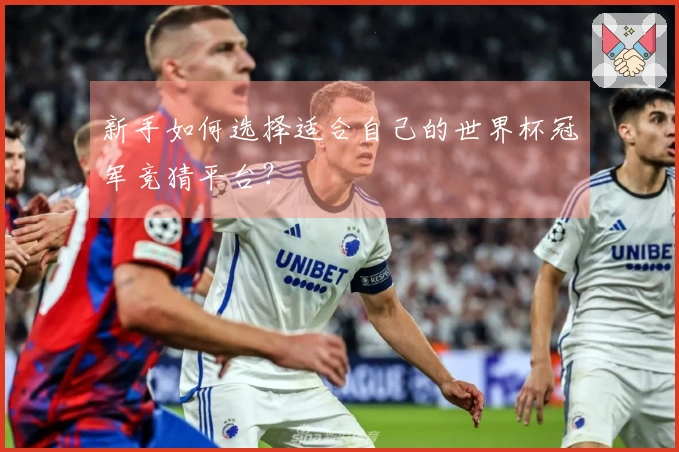 新手如何选择适合自己的世界杯冠军竞猜平台？
