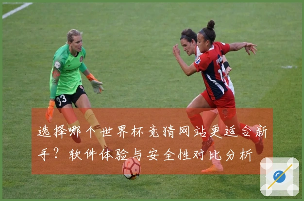 选择哪个世界杯竞猜网站更适合新手？软件体验与安全性对比分析