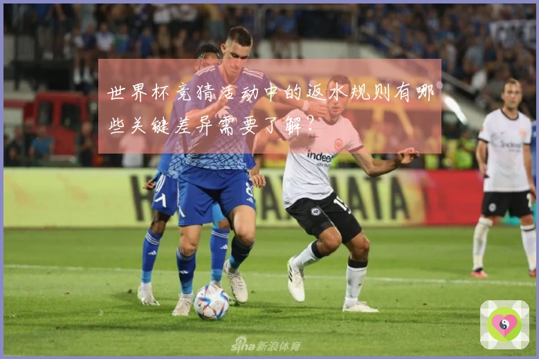 世界杯竞猜活动中的返水规则有哪些关键差异需要了解？