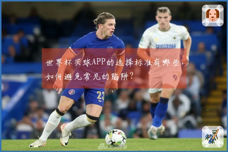 世界杯买球APP的选择标准有哪些，如何避免常见的陷阱？