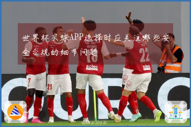 世界杯买球APP选择时应关注哪些安全合规的细节问题