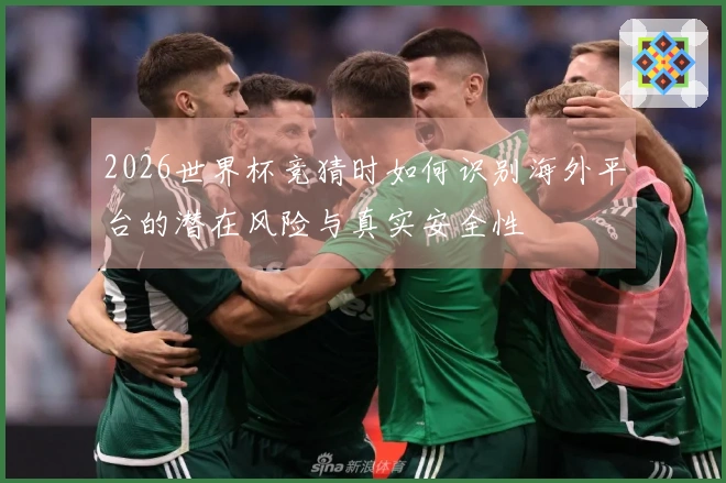 2026世界杯竞猜时如何识别海外平台的潜在风险与真实安全性