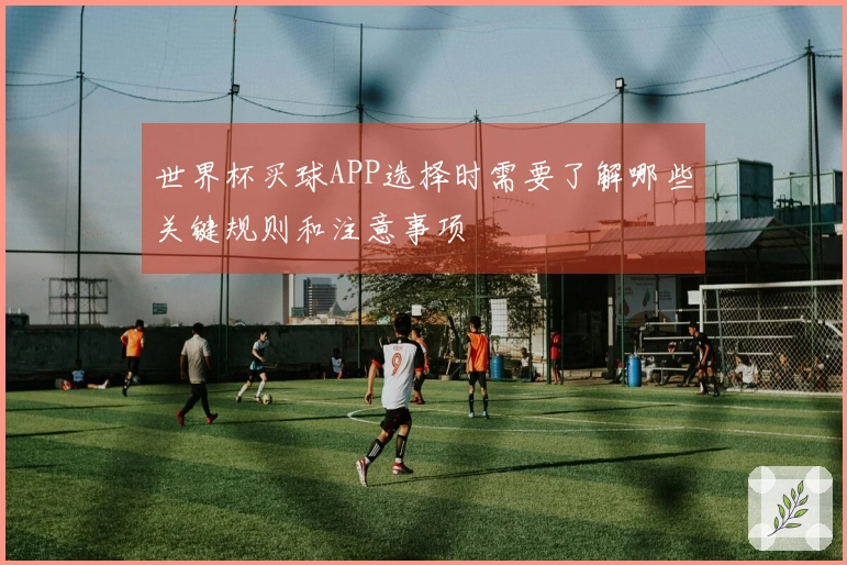 世界杯买球APP选择时需要了解哪些关键规则和注意事项