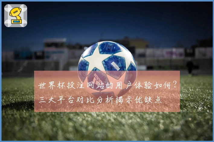 世界杯投注网站的用户体验如何？三大平台对比分析揭示优缺点