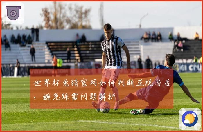 世界杯竞猜官网如何判断正规与否，避免踩雷问题解析