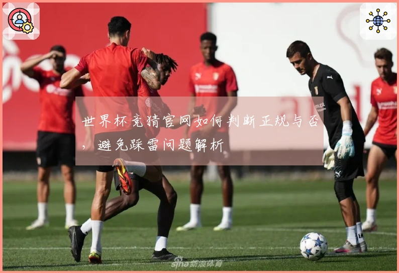 世界杯竞猜官网如何判断正规与否，避免踩雷问题解析
