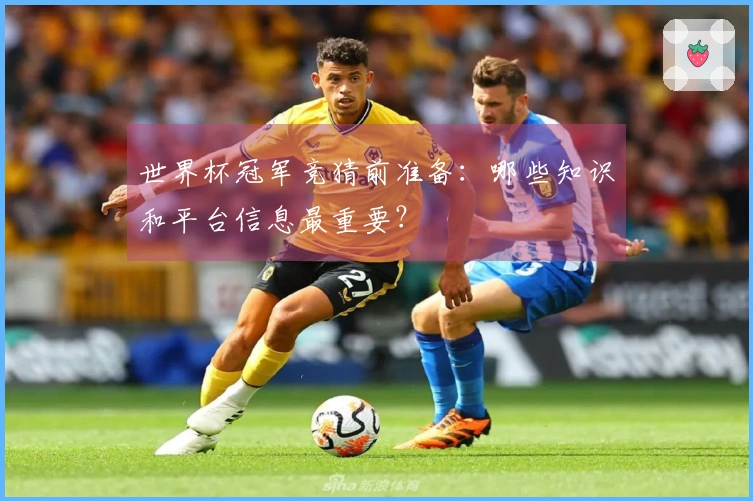 世界杯冠军竞猜前准备：哪些知识和平台信息最重要？