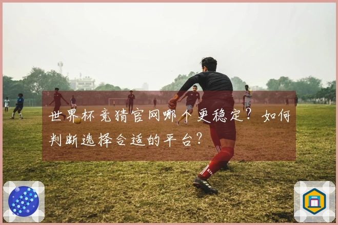 世界杯竞猜官网哪个更稳定？如何判断选择合适的平台？