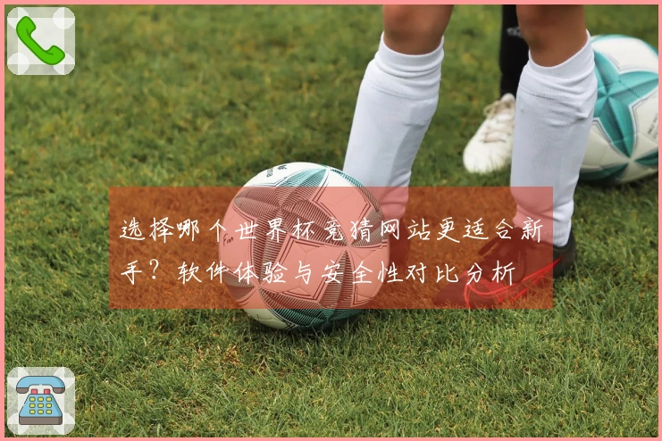 选择哪个世界杯竞猜网站更适合新手？软件体验与安全性对比分析