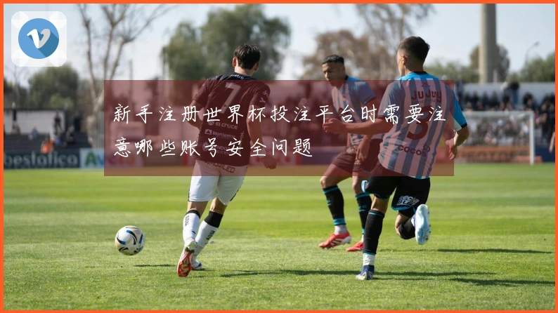 新手注册世界杯投注平台时需要注意哪些账号安全问题