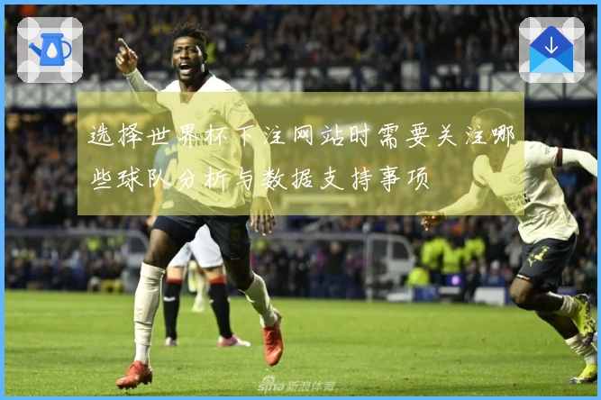 选择世界杯下注网站时需要关注哪些球队分析与数据支持事项